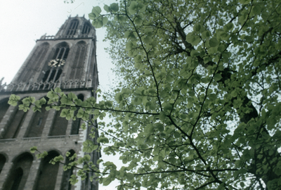 800591 Gezicht op de Domtoren (Domplein) te Utrecht.